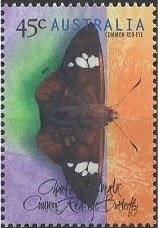 Four Mile Beach, Port Douglas, Queensland