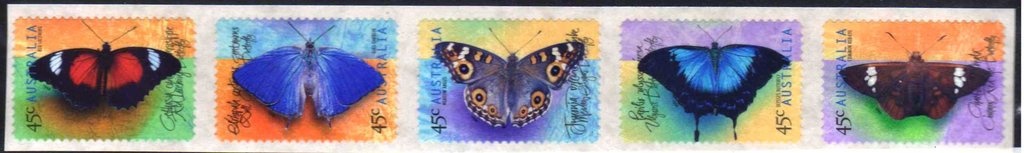 Blooms - Australian Cultivars