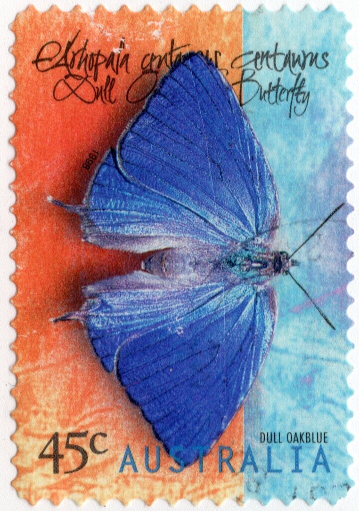 Fun Run - P(14 x 14.40)