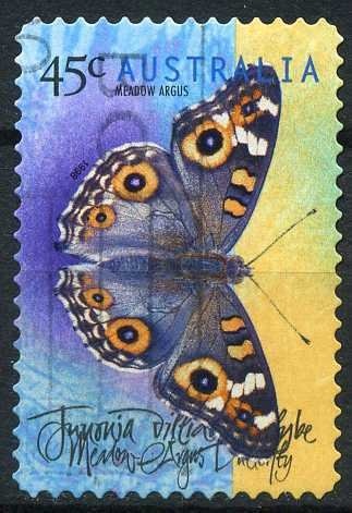 Nolan and Arkley Paintings