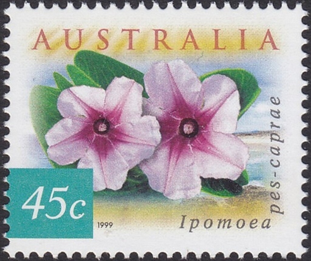 Christmas 1967 - Symbols