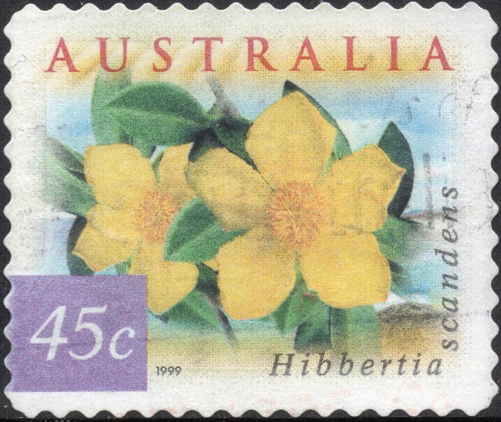 Chantelle Newberry Women's 10m Platform Diving