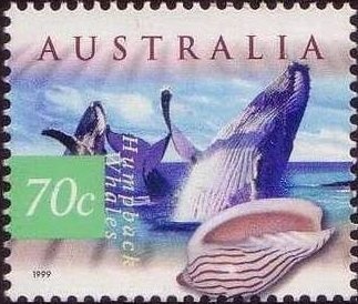 M Page & N Wilmot Men's 470