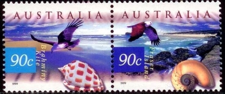 Fraser Island, Chambered Nautilus, Brahminy Kite