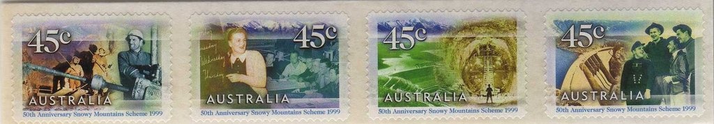 Australian Flatback Turtle (Chelonia depressa)