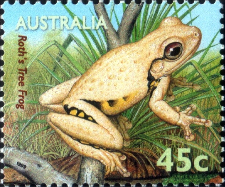 Murray Rose and Murray Rose Swimming