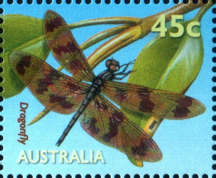 Cocos Islands Green Turtle (Chelonia mydas)