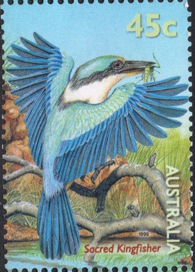 Eucalyptus ficifolia