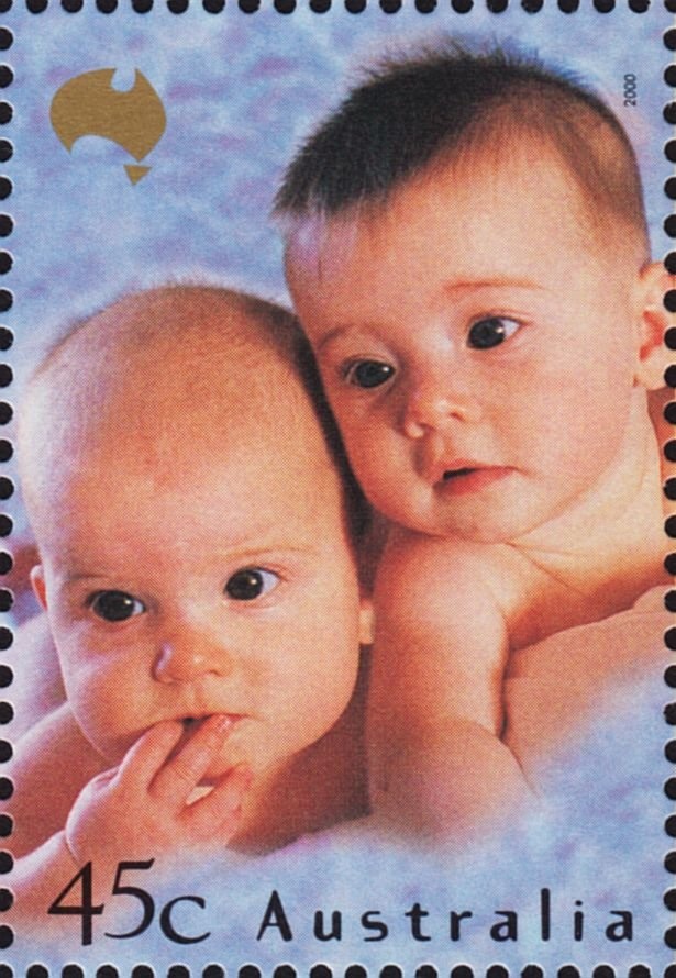 Blue Tiger (Danaus hamata)