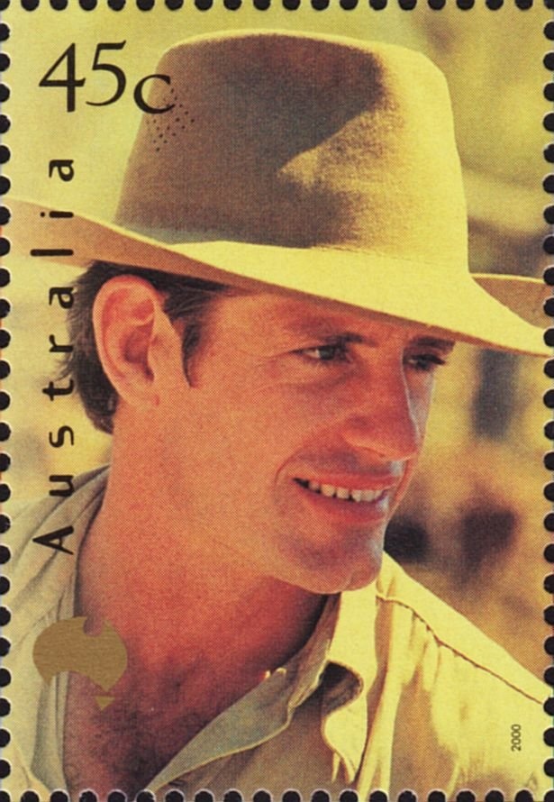 Koala (Phascolarctos cinereus) and Cub