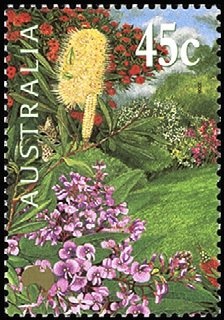 Murray Rose Swimming