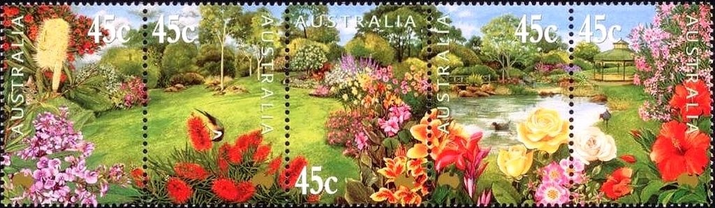 Snowgum (Eucalyptus pauciflora)