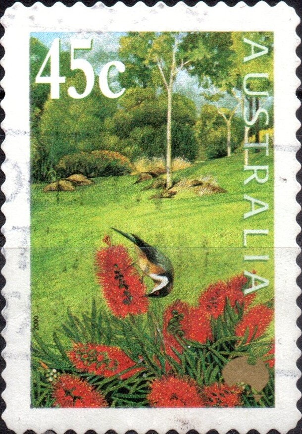 Christmas 1993 - Joy