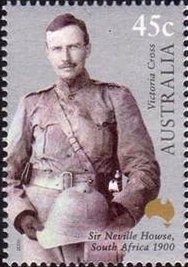 Eastern Grey Kangaroo (Macropus giganteus)