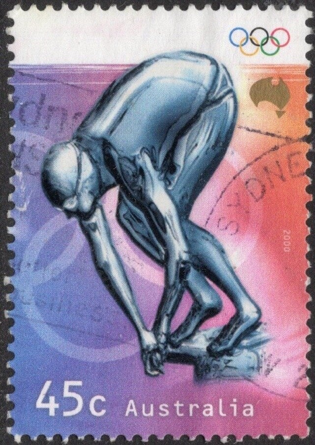 Blue Heeler Dogs (Canis lupus familiaris)