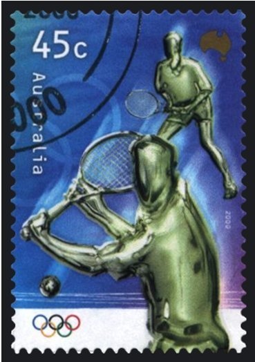 Cootamundra Wattle (Acacia baileyana)