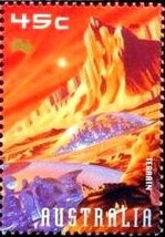 Red Kangaroo (Osphranter rufus)