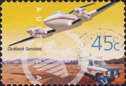 Weedy Seadragon and Bottlenose Dolphin