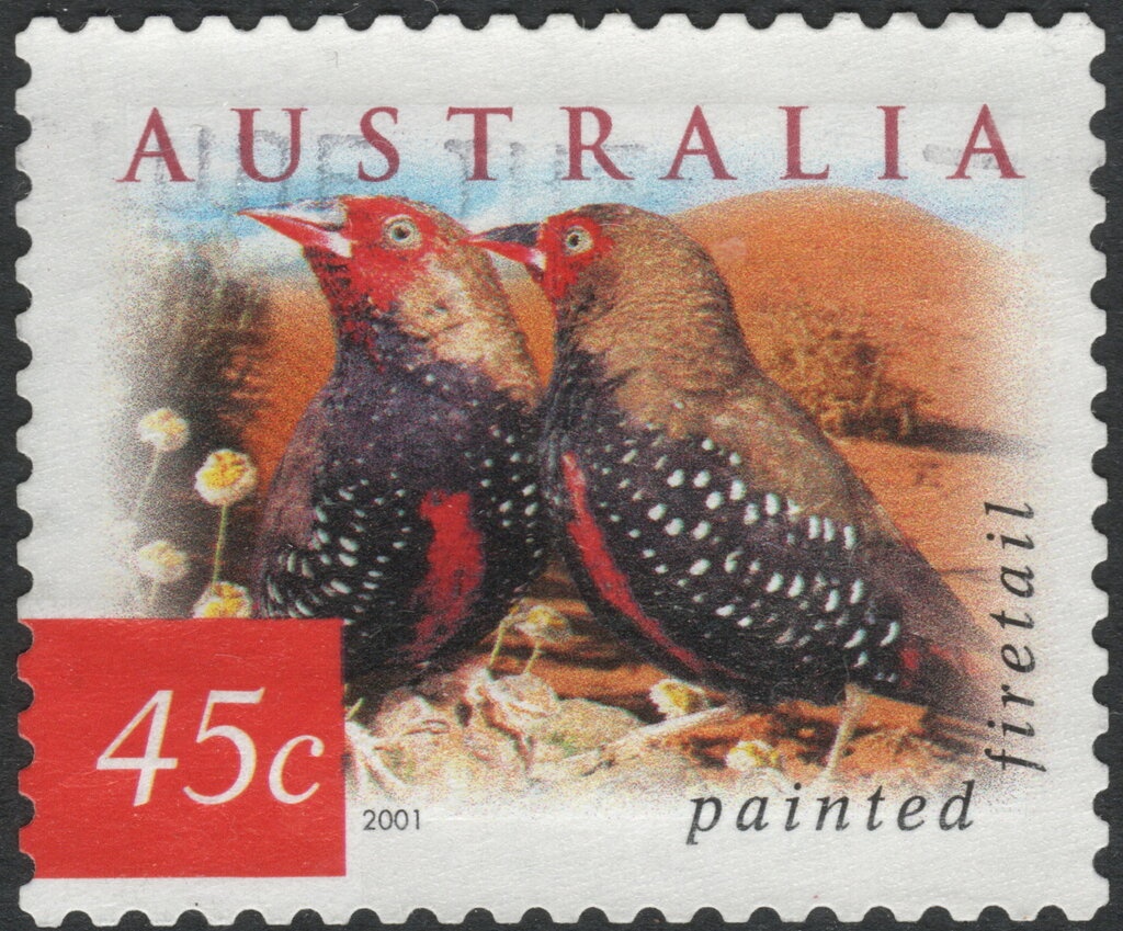 Michael Diamond Trap Shooting