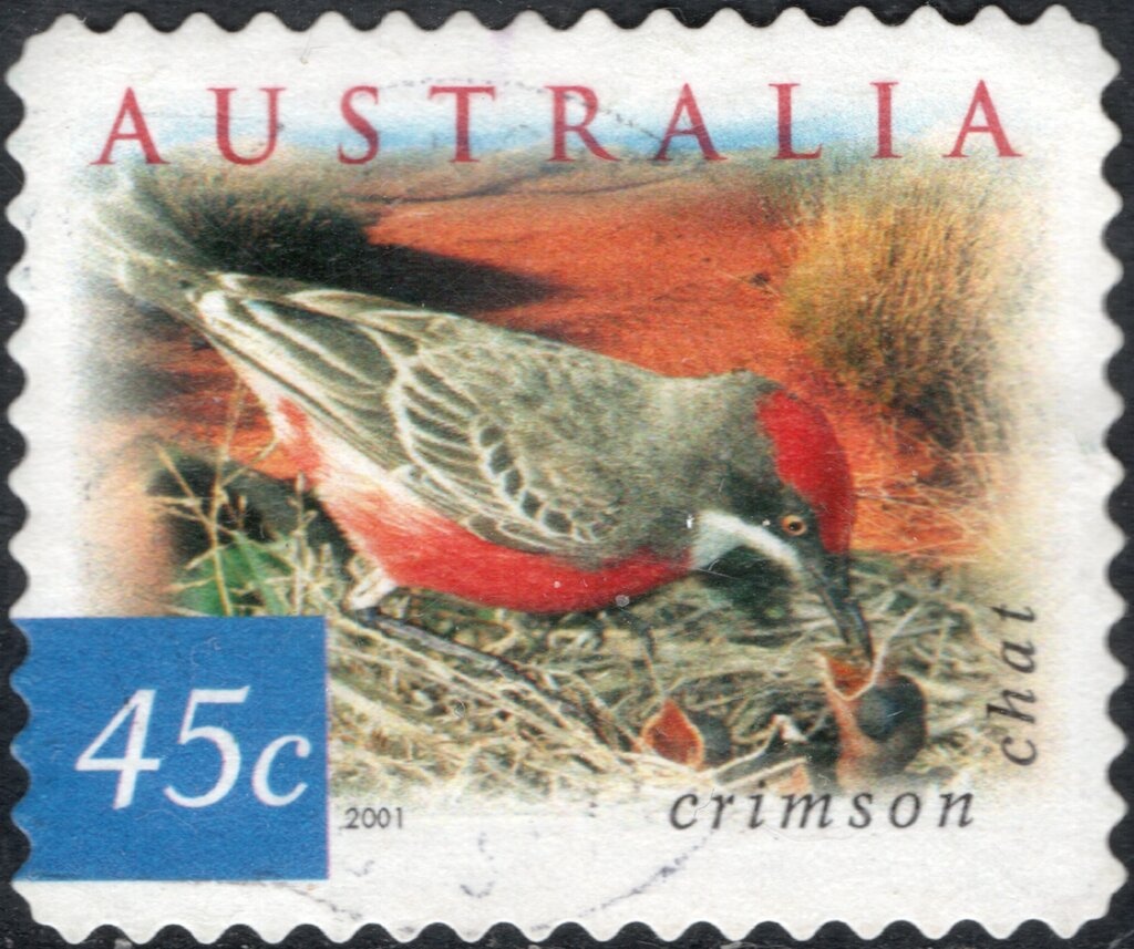 Ultrasound Imaging, 1976