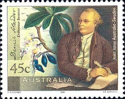 Yachts Passing Tasmanian Coastline