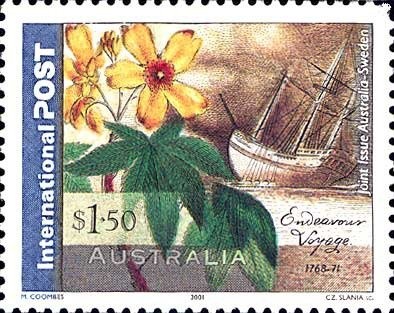 Guinea Flower (Hibbertia scandens)