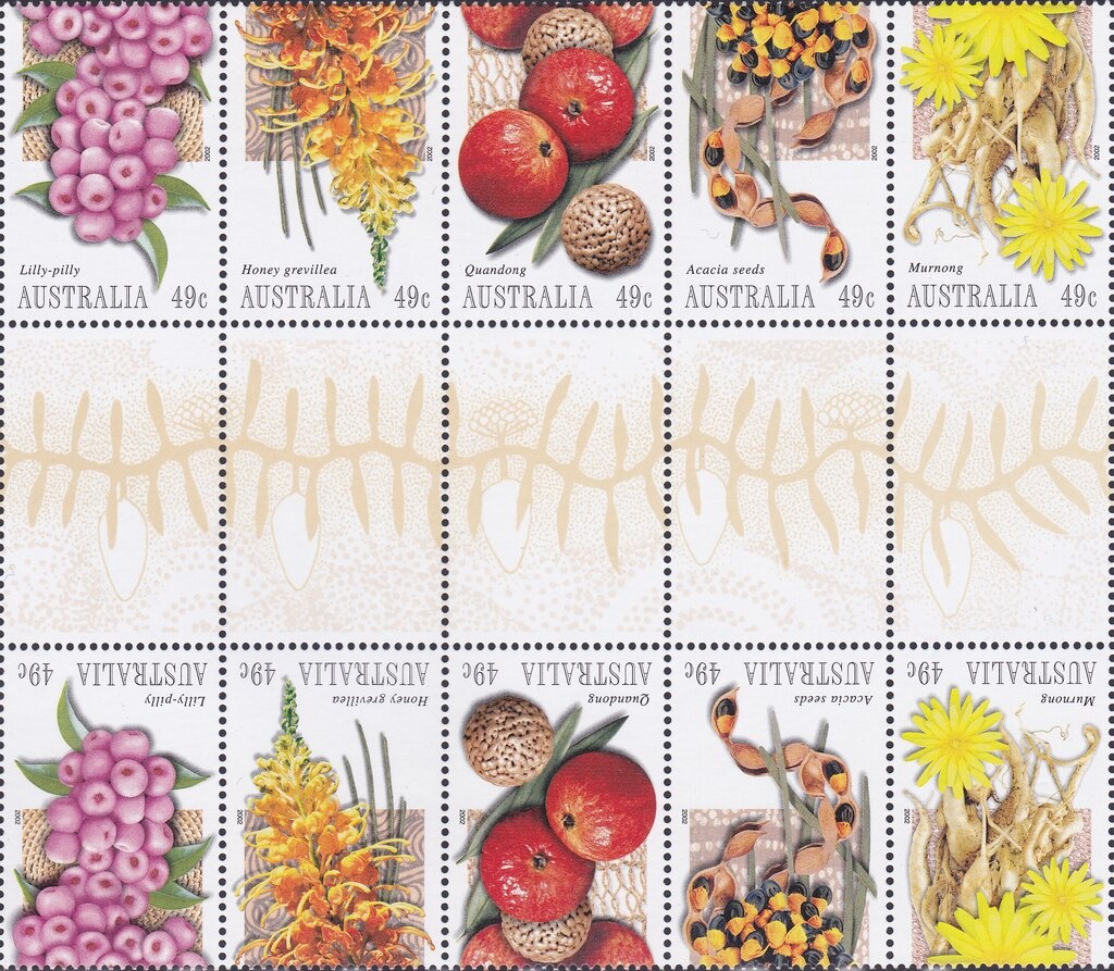 Desert Star Flower (Calytrix carinata)