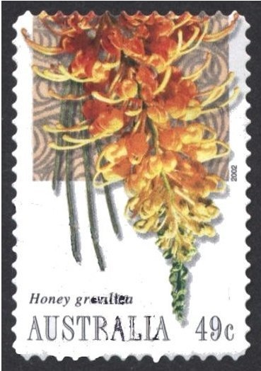 Yellow-bellied Sunbird (Cinnyris jugularis)