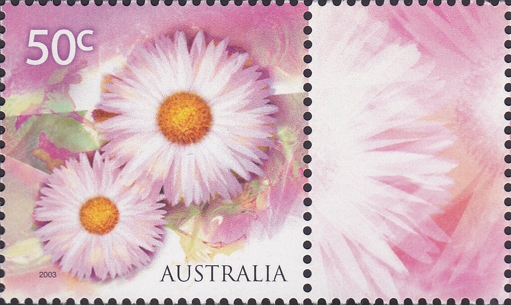 “Power and the Passion” (Midnight Oil), 1983