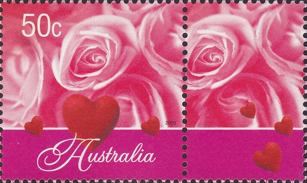 Red Kangaroo (Osphranter rufus)