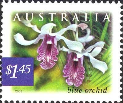 Lalita Yauhleuskaya and Dina Aspandiyarova