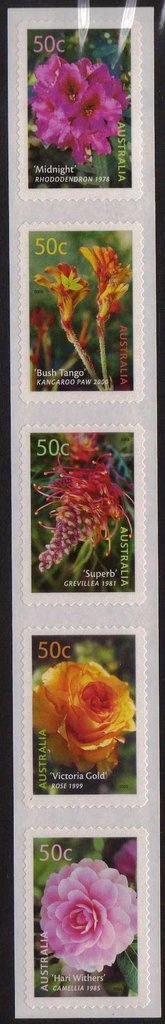 Skateboarding - I(B)