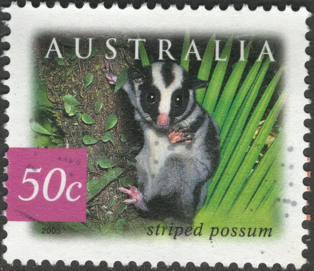 Black Cockatoo Feather, Fiona Foley