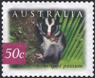 Amputee Putting the Shot