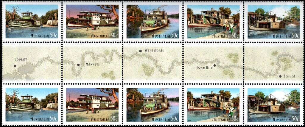 Red Kangaroo (Osphranter rufus)