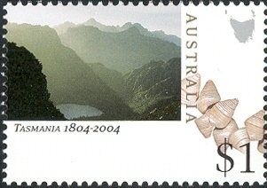 Tennis player (woman)