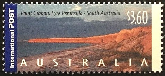 Ghost Bat (Macroderma gigas)