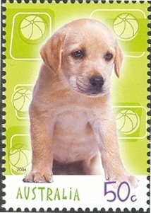 Fruit and Flowers, Vida Lahey (1924)