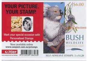 Saltwater Crocodile (Crocodylus porosus)