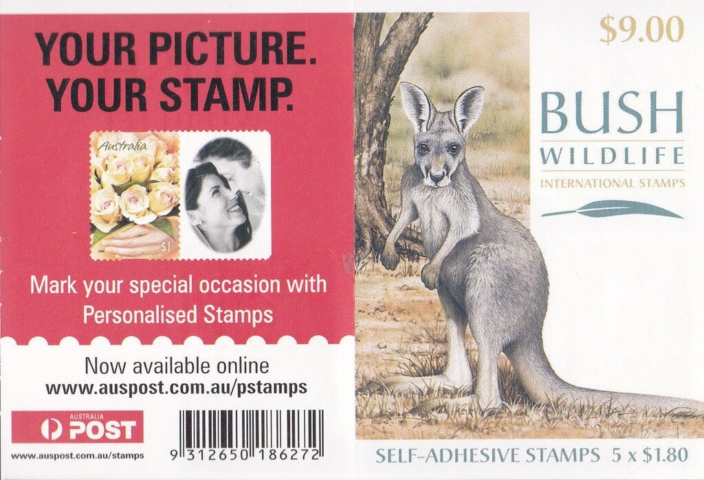 Eastern Grey Kangaroo (Macropus giganteus)