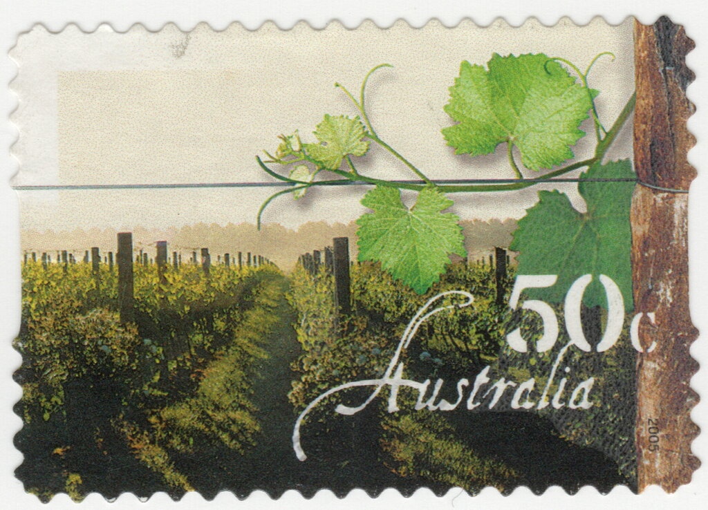 Floral Festival - Jacaranda