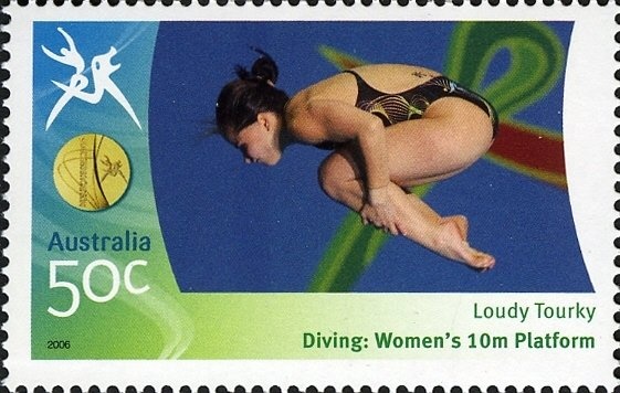 Southern Bottlenose Whale (Hyperoodon planifrons)