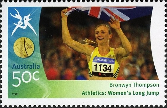 Pony (Equus ferus caballus)