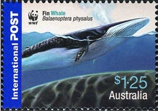 Australian Rules Football