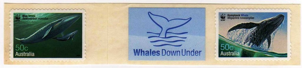 Women's 4 x 100 Medley Relay