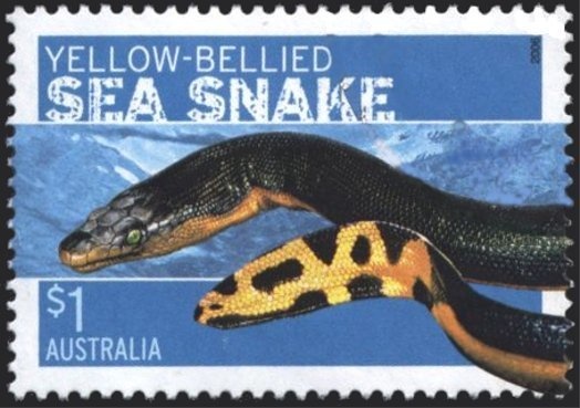 Women's Sailing 470 Class