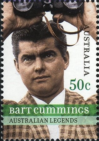 Blue Heeler Dogs (Canis lupus familiaris)