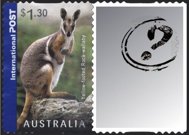 Humpback Whale (Megaptera novaeangliae)