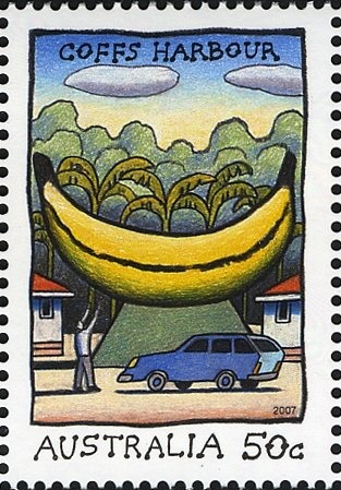 Plumed Whistling Duck