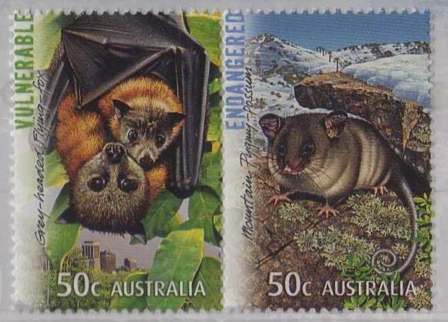 Cape to Cape Track, WA